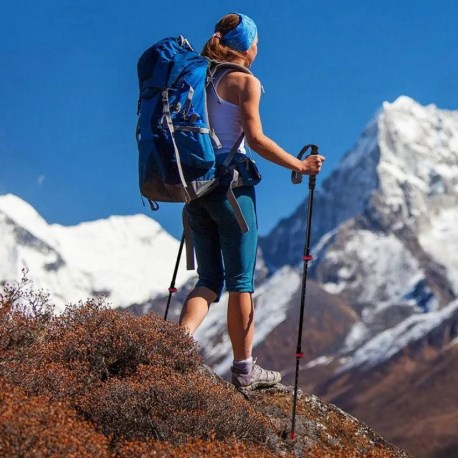 3.Палки треккинговые, карбон, ST10, красные, для ходьбы (2 шт.) 3.Палки треккинговые, карбон, ST10, красные, для ходьбы (2 шт.)