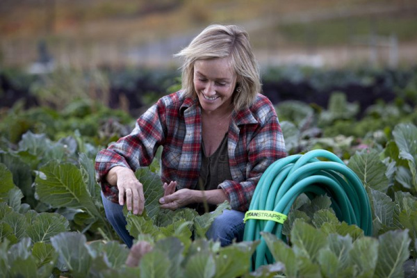 TS-0918-FY 1 TS-0918-FY 1