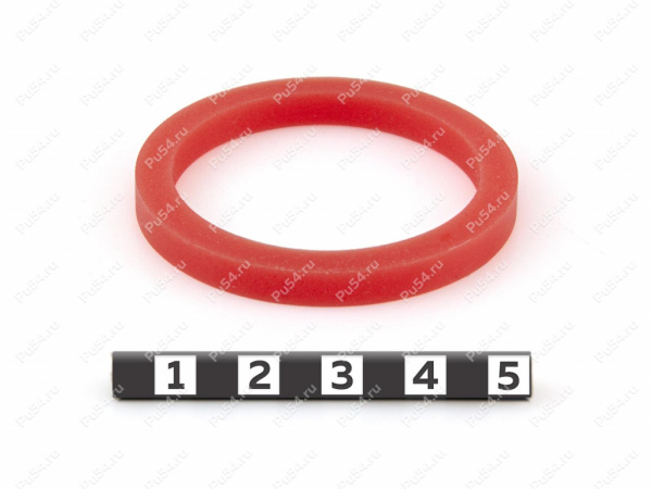 Прокладка крышки канистры Экстрим 5 мм (красная) Прокладка крышки канистры Экстрим 5 мм (красная)